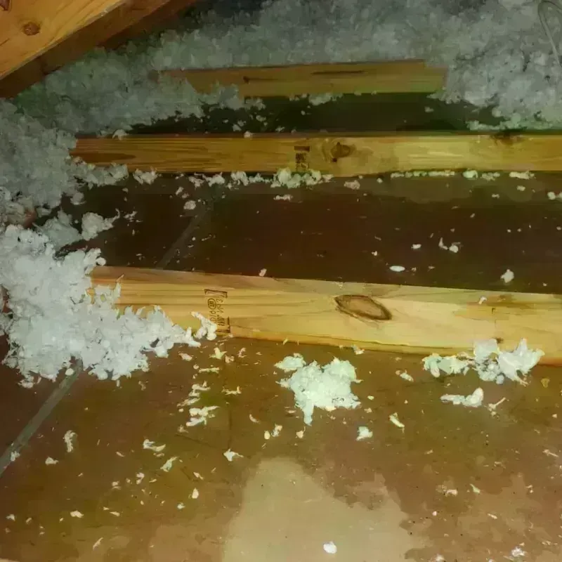 Attic Water Damage in Fall River County, SD