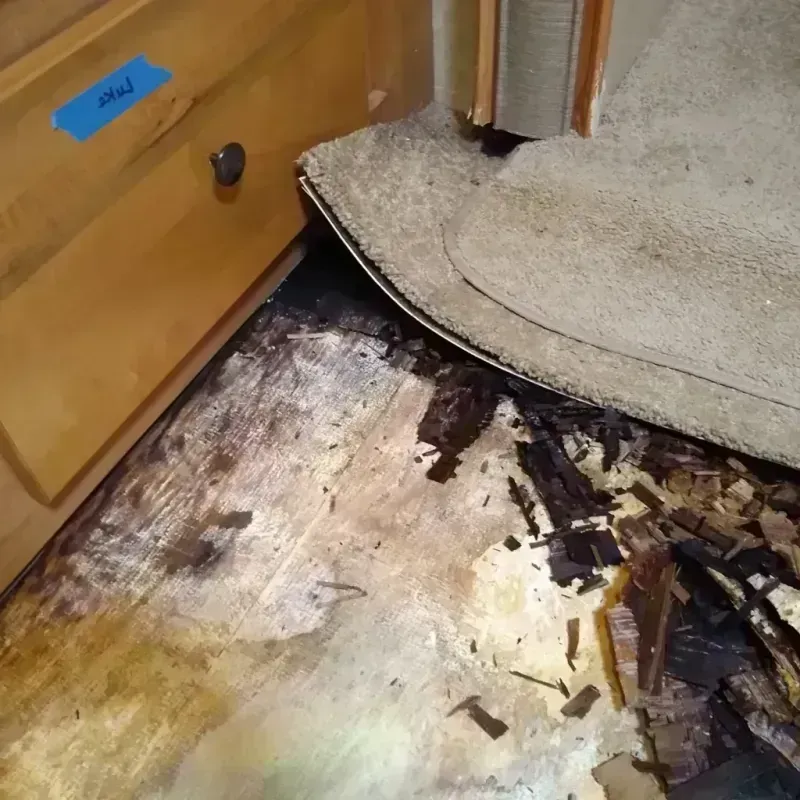 Wood Floor Water Damage in Fall River County, SD